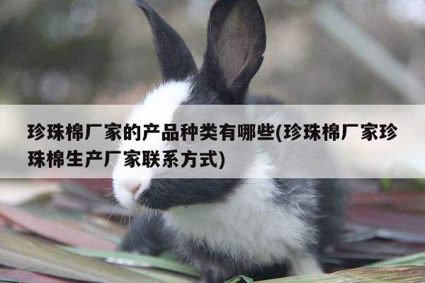 珍珠棉厂家的产品种类有哪些(珍珠棉厂家珍珠棉生产厂家联系方式)