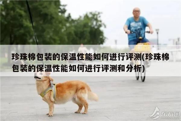 珍珠棉包装的保温性能如何进行评测(珍珠棉包装的保温性能如何进行评测和分析)