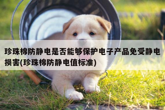 珍珠棉防静电是否能够保护电子产品免受静电损害(珍珠棉防静电值标准)