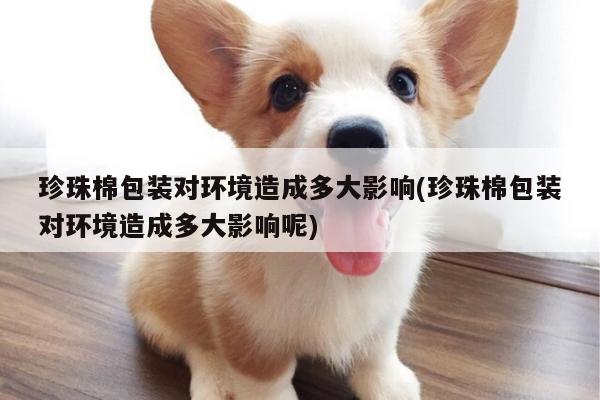 珍珠棉包装对环境造成多大影响(珍珠棉包装对环境造成多大影响呢)