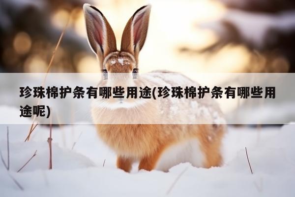 珍珠棉护条有哪些用途(珍珠棉护条有哪些用途呢)