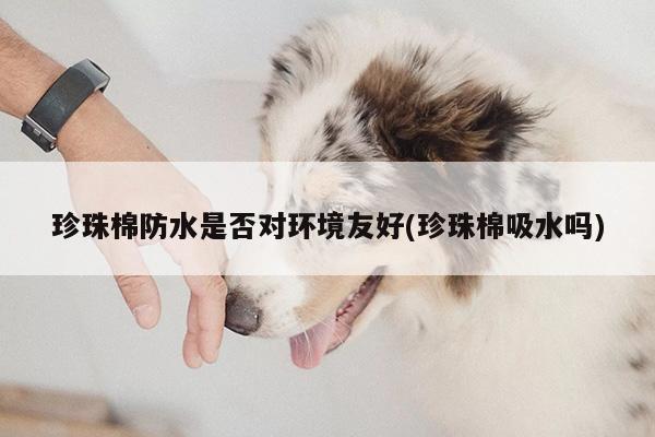 珍珠棉防水是否对环境友好(珍珠棉吸水吗)