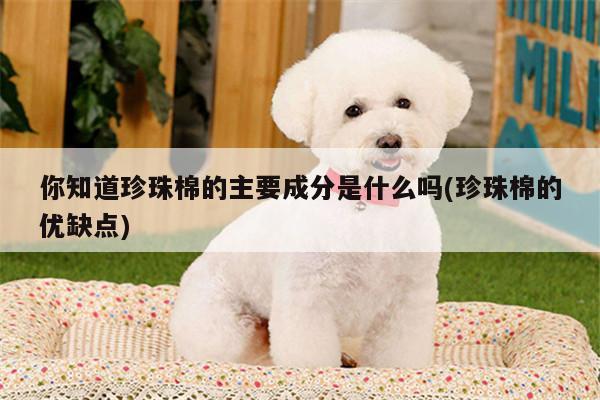 你知道珍珠棉的主要成分是什么吗(珍珠棉的优缺点)