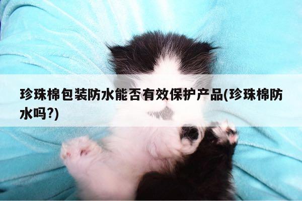 珍珠棉包装防水能否有效保护产品(珍珠棉防水吗?)