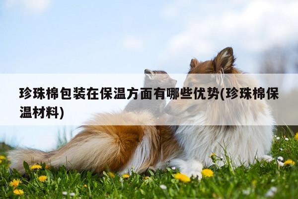 珍珠棉包装在保温方面有哪些优势(珍珠棉保温材料)