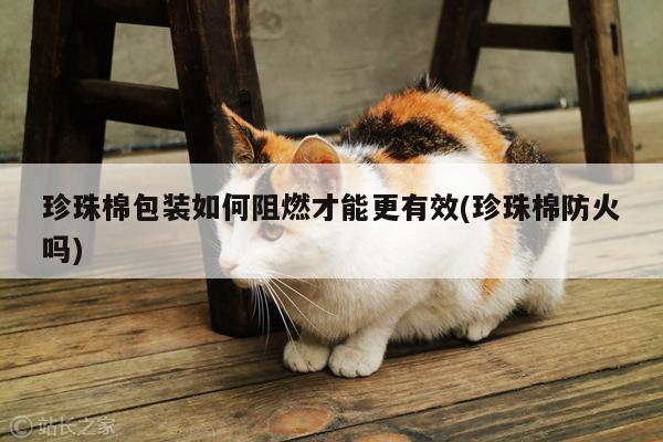 珍珠棉包装如何阻燃才能更有效(珍珠棉防火吗)