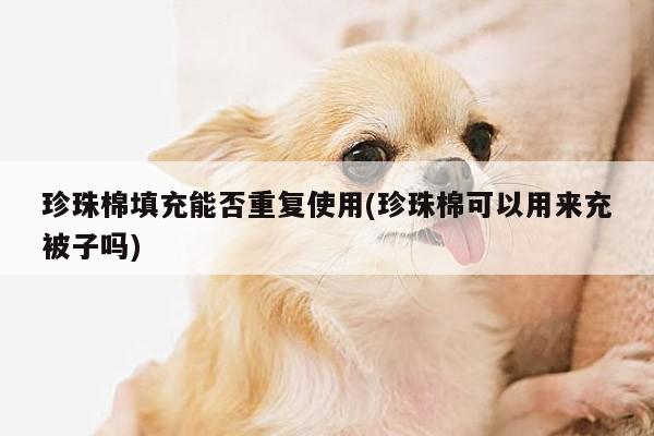 珍珠棉填充能否重复使用(珍珠棉可以用来充被子吗)