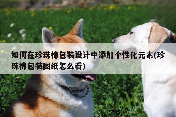 如何在珍珠棉包装设计中添加个性化元素(珍珠棉包装图纸怎么看)