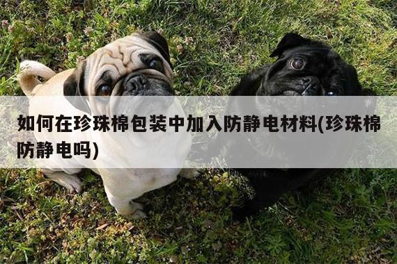如何在珍珠棉包装中加入防静电材料(珍珠棉防静电吗)
