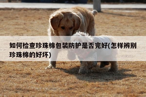 如何检查珍珠棉包装防护是否完好(怎样辨别珍珠棉的好坏)