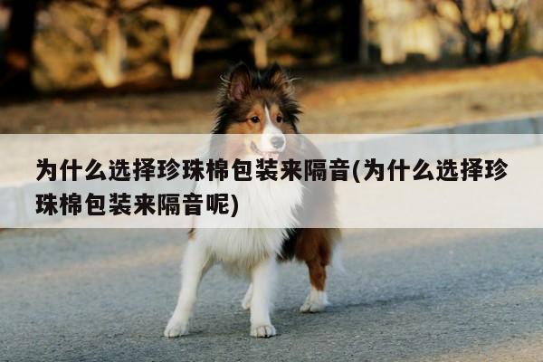 为什么选择珍珠棉包装来隔音(为什么选择珍珠棉包装来隔音呢)