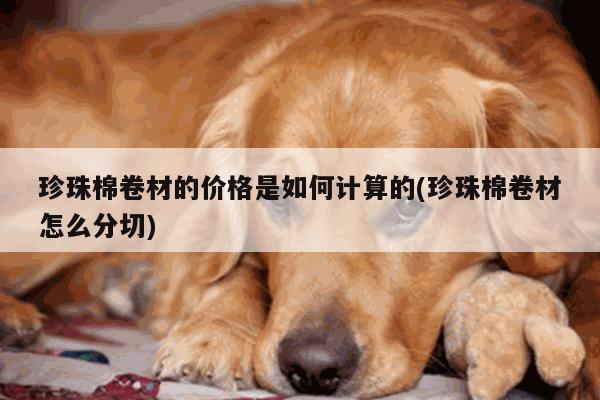 珍珠棉卷材的价格是如何计算的(珍珠棉卷材怎么分切)