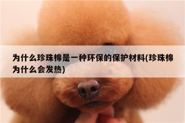 为什么珍珠棉是一种环保的保护材料(珍珠棉为什么会发热)