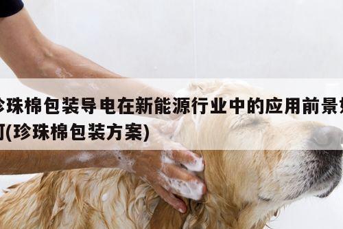 珍珠棉包装导电在新能源行业中的应用前景如何(珍珠棉包装方案)