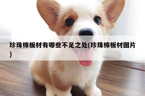 珍珠棉板材有哪些不足之处(珍珠棉板材图片)