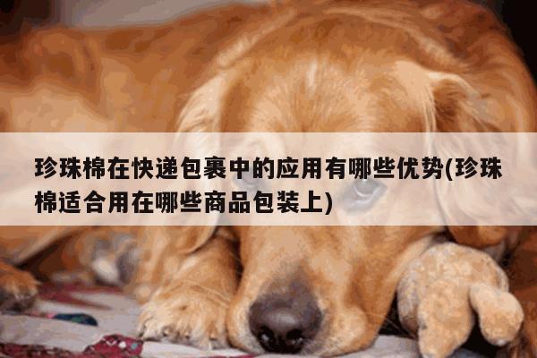 珍珠棉在快递包裹中的应用有哪些优势(珍珠棉适合用在哪些商品包装上)