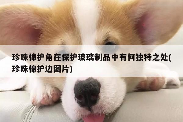 珍珠棉护角在保护玻璃制品中有何独特之处(珍珠棉护边图片)
