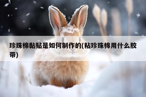 珍珠棉黏贴是如何制作的(粘珍珠棉用什么胶带)