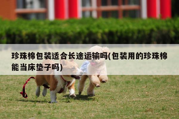 珍珠棉包装适合长途运输吗(包装用的珍珠棉能当床垫子吗)