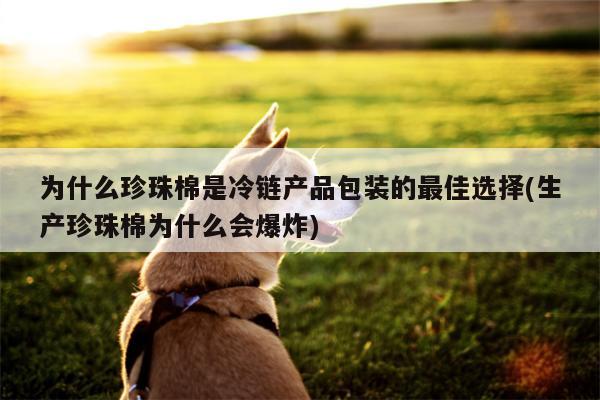 为什么珍珠棉是冷链产品包装的最佳选择(生产珍珠棉为什么会爆炸)