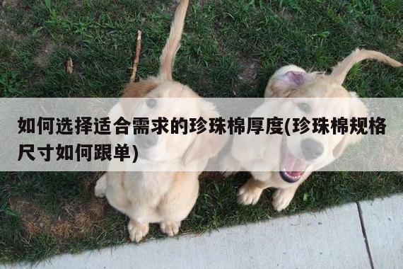 如何选择适合需求的珍珠棉厚度(珍珠棉规格尺寸如何跟单)