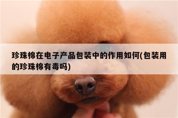 珍珠棉在电子产品包装中的作用如何(包装用的珍珠棉有毒吗)