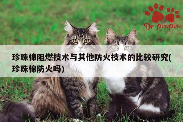 珍珠棉阻燃技术与其他防火技术的比较研究(珍珠棉防火吗)
