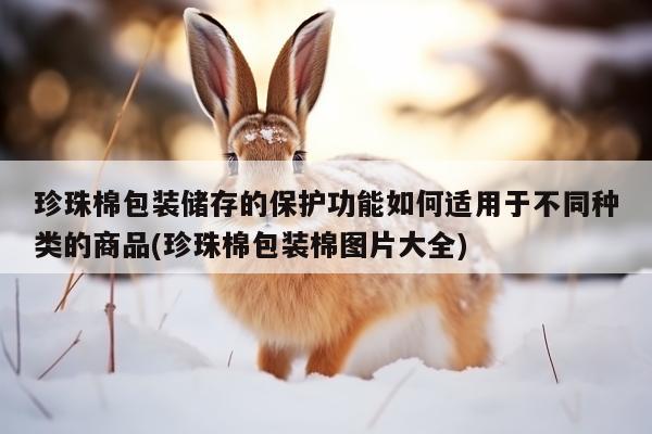 珍珠棉包装储存的保护功能如何适用于不同种类的商品(珍珠棉包装棉图片大全)