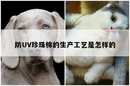 防UV珍珠棉的生产工艺是怎样的