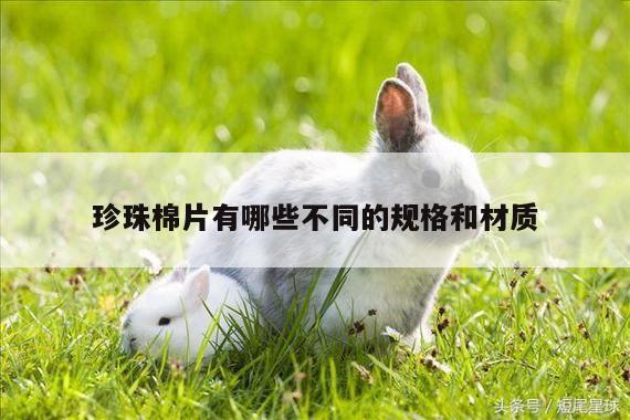 珍珠棉片有哪些不同的规格和材质