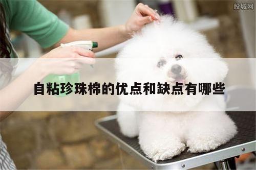 自粘珍珠棉的优点和缺点有哪些