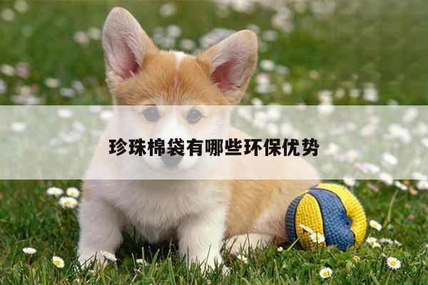 珍珠棉袋有哪些环保优势