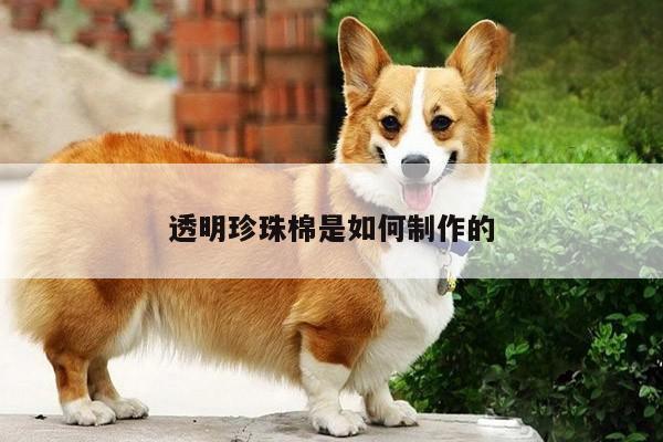 透明珍珠棉是如何制作的