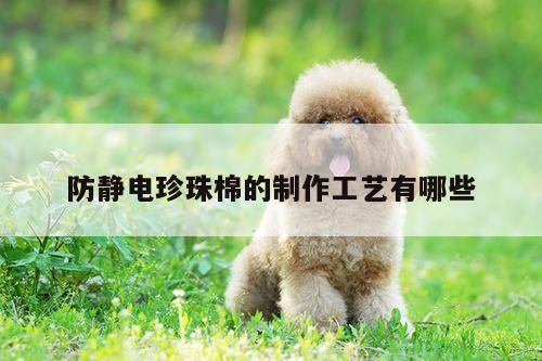 防静电珍珠棉的制作工艺有哪些