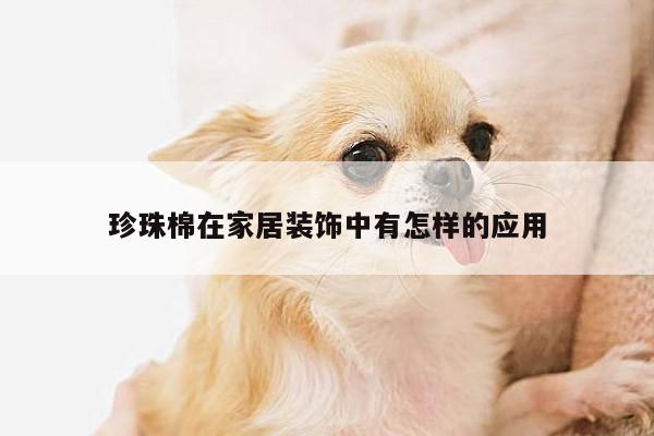 珍珠棉在家居装饰中有怎样的应用