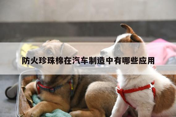 防火珍珠棉在汽车制造中有哪些应用