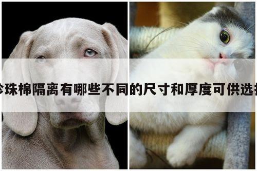 珍珠棉隔离有哪些不同的尺寸和厚度可供选择