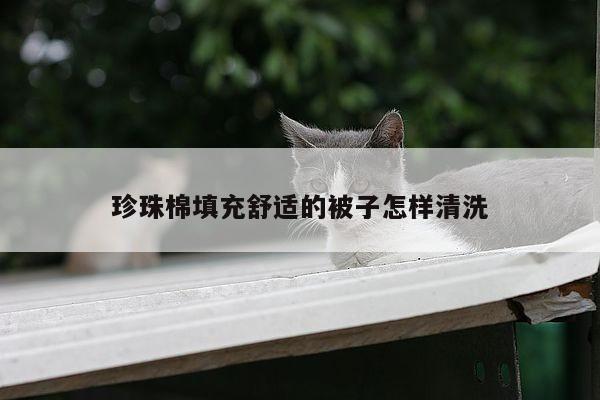 珍珠棉填充舒适的被子怎样清洗