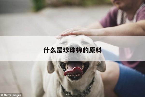 什么是珍珠棉的原料