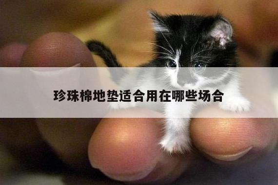 珍珠棉地垫适合用在哪些场合