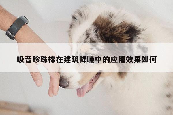 吸音珍珠棉在建筑降噪中的应用效果如何