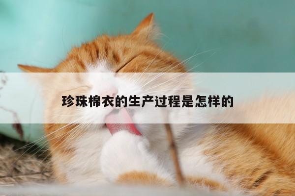 珍珠棉衣的生产过程是怎样的