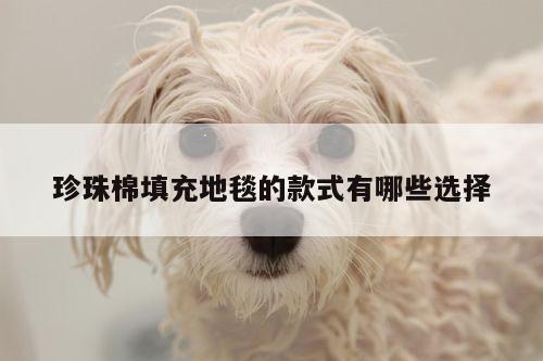 珍珠棉填充地毯的款式有哪些选择