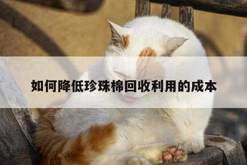 如何降低珍珠棉回收利用的成本