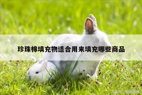 珍珠棉填充物适合用来填充哪些商品