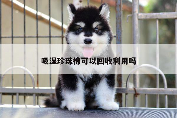 吸湿珍珠棉可以回收利用吗