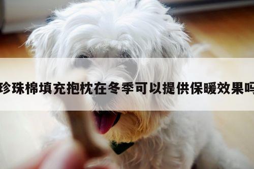 珍珠棉填充抱枕在冬季可以提供保暖效果吗