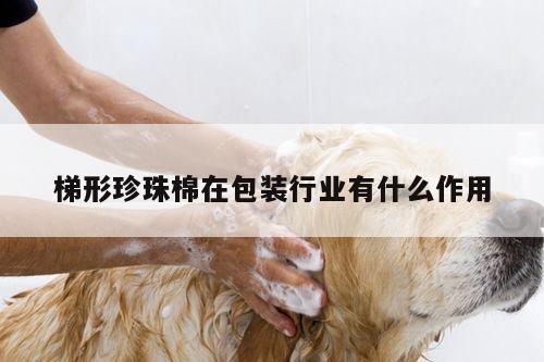 梯形珍珠棉在包装行业有什么作用