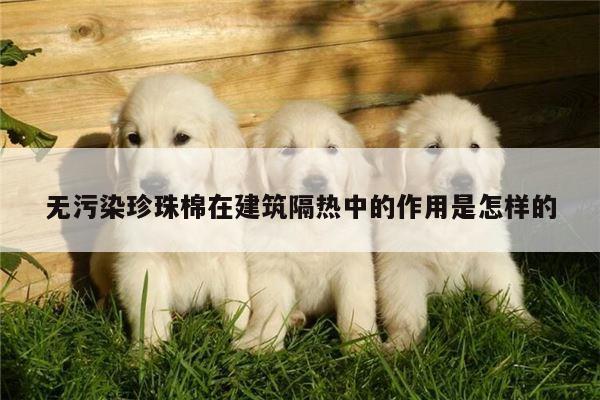 无污染珍珠棉在建筑隔热中的作用是怎样的