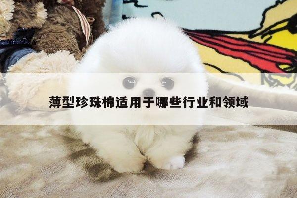 薄型珍珠棉适用于哪些行业和领域